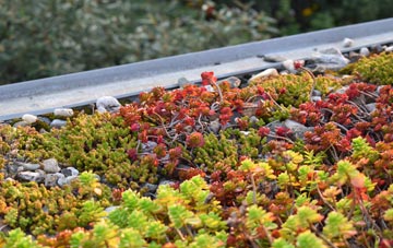 the cost of Baylham green roof installation