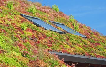 Baylham living roof systems