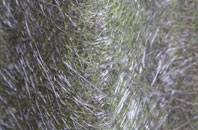 Baylham fibreglass roof work